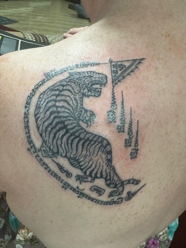 Tiger banner on back